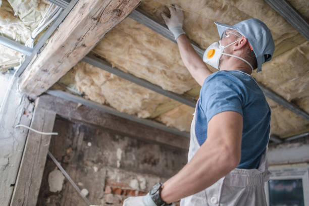 Best Insulation Removal  in Mount Sinai, NY