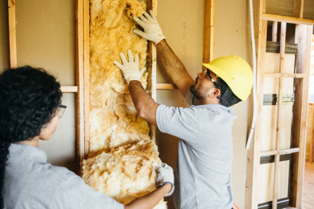 Best Best Insulation Companies  in Mount Sinai, NY